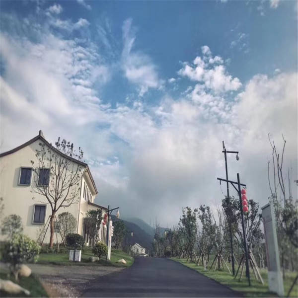 新奧今晚開一肖一特講解詞語，揭秘生肖與特肖的獨特魅力，揭秘生肖與特肖的獨特魅力，新奧今晚一開一特講解詞語