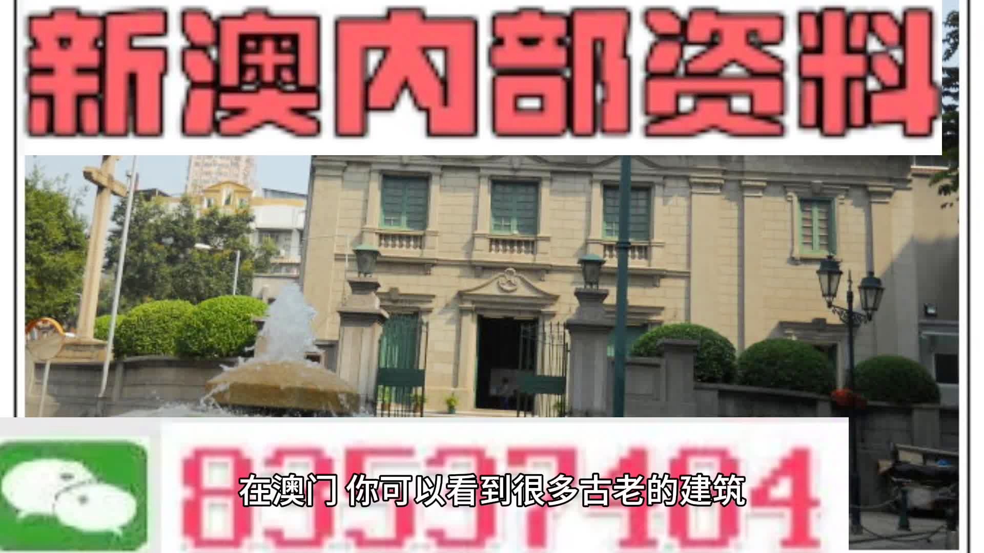 新門內(nèi)部資料大全更新，掌握最新資源，引領(lǐng)行業(yè)前沿，新門內(nèi)部資料更新引領(lǐng)行業(yè)前沿掌握最新資源大全