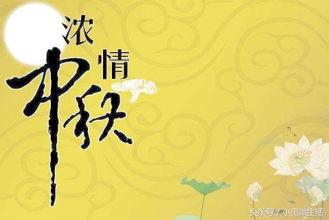 天天開好彩免費資料大全——你不可錯過的幸運之門，天天開好彩免費資料大全——開啟幸運之門的必備指南