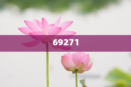 新澳今晚9點(diǎn)30分的精彩瞬間與背后故事揭秘，新澳之夜，精彩瞬間與幕后揭秘 9點(diǎn)30分的震撼時刻