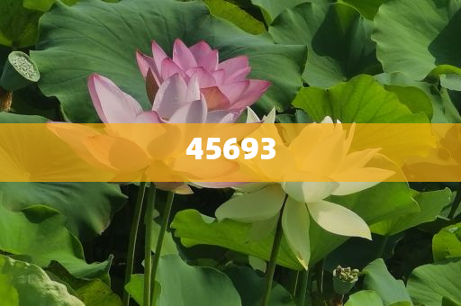 全新升級(jí)，7777888888精準(zhǔn)新管家，全新升級(jí)管家，精準(zhǔn)管理，一站式服務(wù) 7777888888新管家重磅來襲