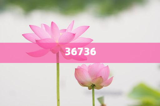 揭秘精準(zhǔn)新傳秘籍，7777788888免費(fèi)策略與SEO優(yōu)化，揭秘精準(zhǔn)新傳秘籍，免費(fèi)策略與SEO優(yōu)化指南