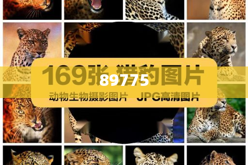 關(guān)于新奧歷史開獎記錄的最新信息，今天公布了嗎？，新奧歷史開獎記錄最新信息公布了嗎？
