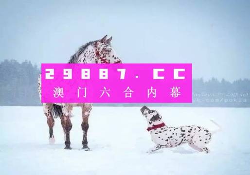 澳門一肖一碼狀元紅，揭秘彩票背后的秘密與策略，澳門彩票揭秘，狀元紅背后的秘密與策略解析