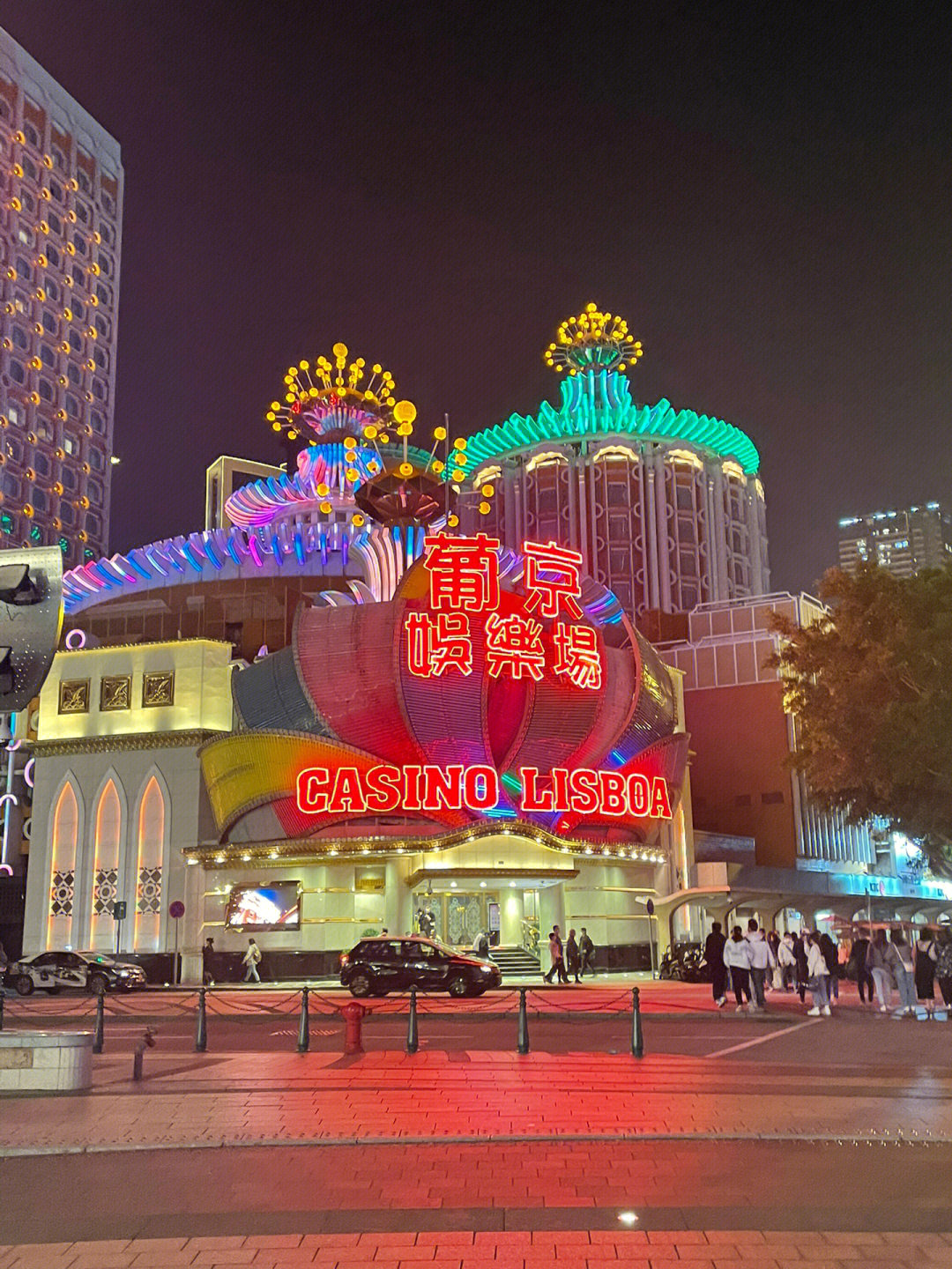 澳門今晚必開一肖一特芳草地，探索生肖與運(yùn)勢的神秘面紗，澳門生肖運(yùn)勢揭秘，探索今晚必開一肖一特芳草地神秘面紗的運(yùn)勢之旅