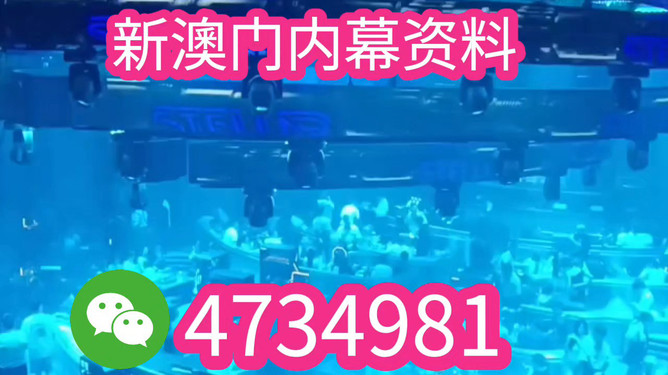 揭秘未來之星，2025新澳王中王，揭秘未來之星，2025新澳王中王風采展示