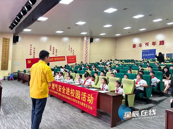 新奧49正版資料，探索與解析，新奧49正版資料深度探索與解析