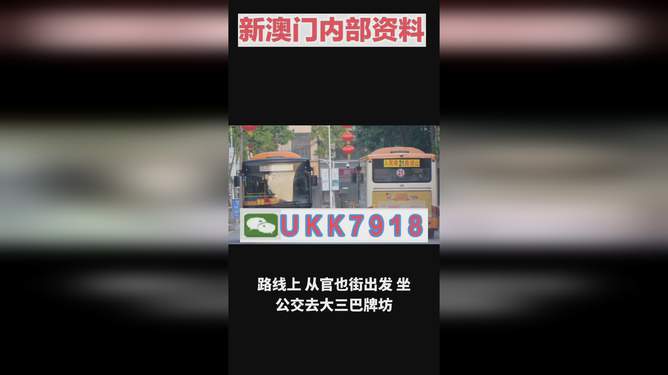 揭秘澳門今晚開獎號碼，預測與策略走向，澳門今晚開獎號碼揭秘與預測策略走向探討