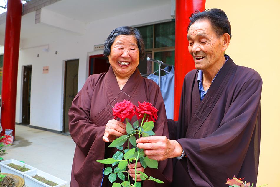 揭秘最準(zhǔn)一碼一肖，揭秘背后的秘密與真相，鳳凰網(wǎng)獨(dú)家報(bào)道，獨(dú)家揭秘，最準(zhǔn)一碼一肖背后的秘密真相（鳳凰網(wǎng)報(bào)道）
