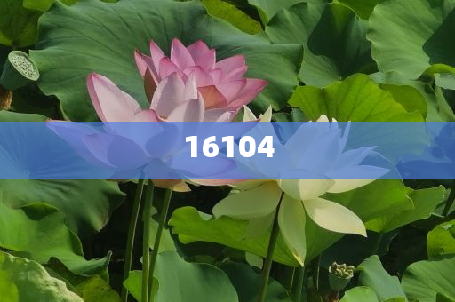 新奧600圖庫2025，探索與前瞻，新奧600圖庫2025，深度探索與未來展望