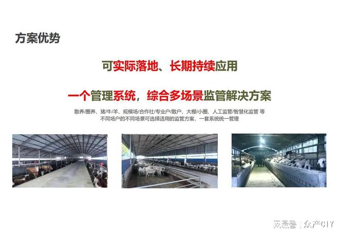 探索新澳芳草地，正版資料的免押之旅（2025年最新資訊），探索新澳芳草地，正版資料免押之旅（最新資訊）