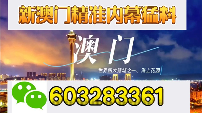 新澳門今晚開獎結(jié)果揭曉，探索彩票背后的秘密與期待，新澳門今晚開獎結(jié)果揭曉，彩票背后的秘密與期待揭曉之夜