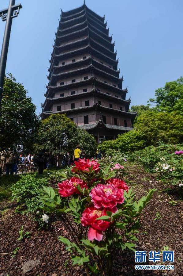 六和彩開碼資料網——探索彩票世界的門戶，六和彩開碼資料網，彩票世界探索之門
