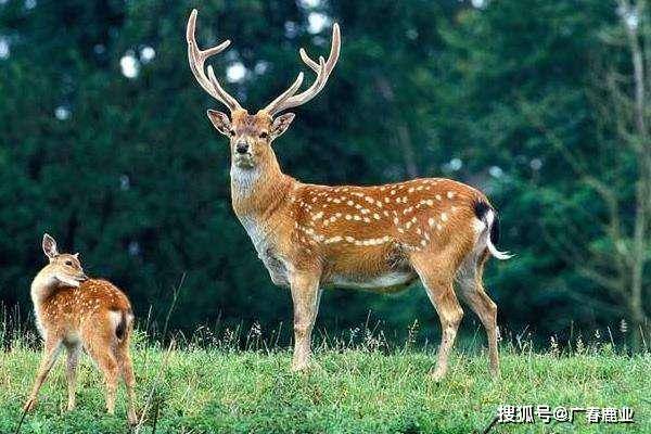 最新版本的6566cc澳彩資料大全介紹與特色功能解析，圖庫升級亮點一覽，最新6566cc澳彩資料大全介紹與特色功能解析，圖庫升級亮點全揭秘