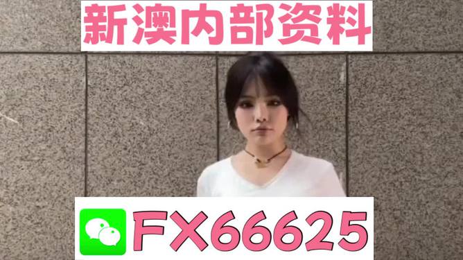 澳門資料大全正版資料查詢，探索澳門的文化與歷史深度之旅，澳門文化與歷史深度探索，正版資料大全及查詢指南