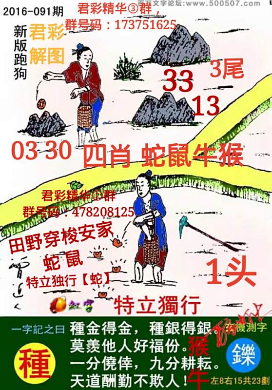揭秘7777788888精準新跑狗圖，全方位解讀其背后的秘密，揭秘新跑狗圖7777788888，全方位解讀背后的真相與秘密