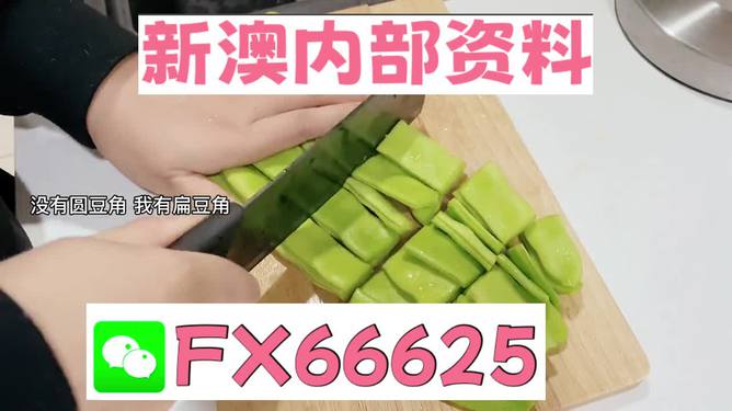 新澳精準(zhǔn)資料免費提供，探索與解析，新澳精準(zhǔn)資料解析與探索，免費提供的深度解讀