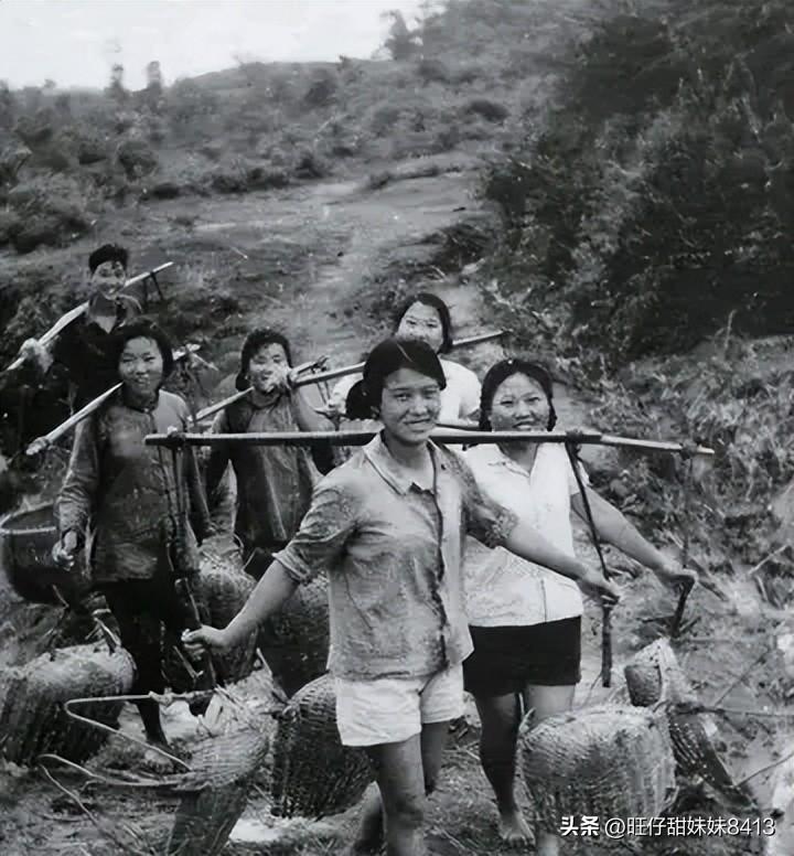 關(guān)于49圖庫圖片資料，豐富資源一網(wǎng)打盡，49圖庫，圖片資源豐富，一網(wǎng)打盡！