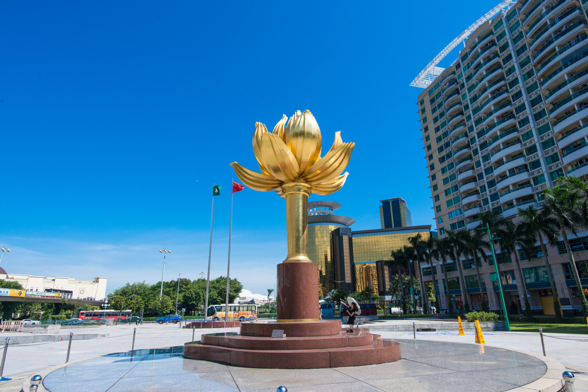 澳門一碼一肖一待一中四不像，探索與解析，澳門一碼一肖一待一中四不像，深度解析與探索