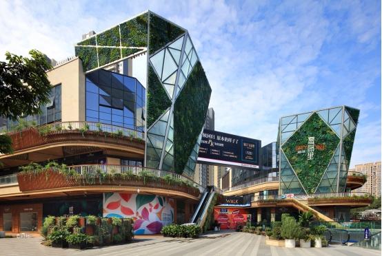 王中王192期指一生肖，深度解析與SEO優(yōu)化策略，王中王192期生肖深度解析與SEO策略優(yōu)化指南