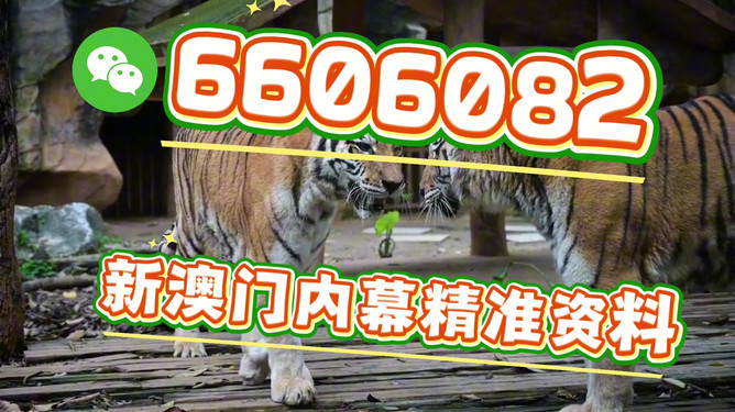 澳門今晚必開一肖一特，探索生肖彩票的魅力與預(yù)測(cè)，澳門生肖彩票探索，魅力揭秘與今晚預(yù)測(cè)一肖一特