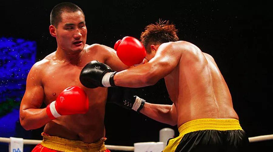 王中王85期指一生肖——深度解析與預(yù)測(cè)，王中王85期生肖深度解析與預(yù)測(cè)