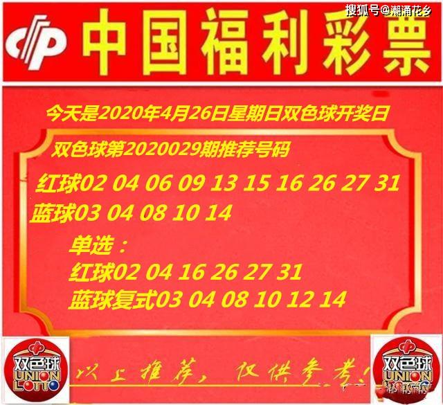 王中王029期指一生肖，揭秘生肖魅力與預(yù)測背后的秘密，揭秘生肖魅力與預(yù)測背后的秘密，王中王生肖預(yù)測第029期揭曉