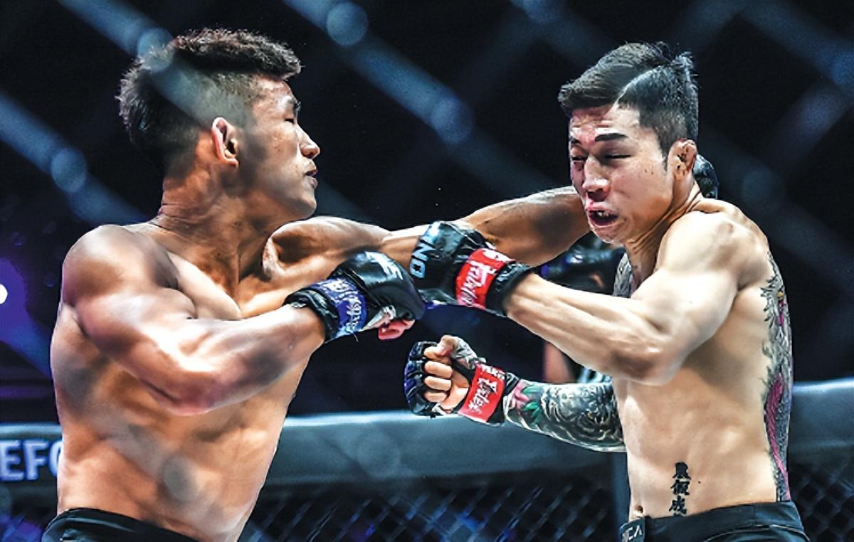 王中王07期指一生肖，深度解析與預(yù)測(cè)，王中王07期指一生肖，深度解析、預(yù)測(cè)與運(yùn)勢(shì)探討