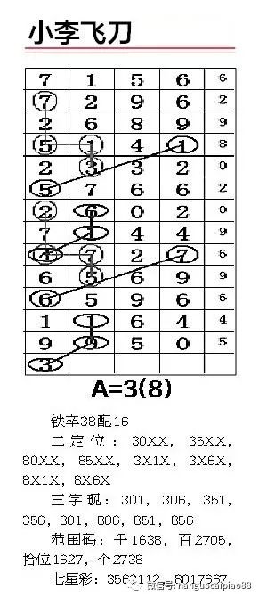 一肖二碼中平特，揭秘彩票奧秘與策略，揭秘彩票奧秘，一肖二碼中平特策略揭秘