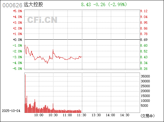 關(guān)于000626遠(yuǎn)大控股股吧的全面解析，000626遠(yuǎn)大控股股吧深度解析