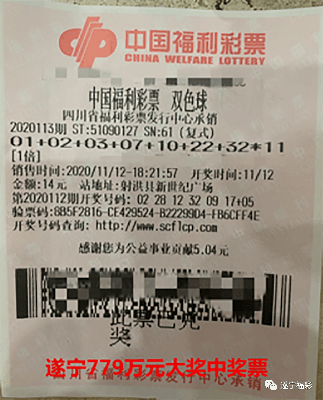 王中王遂寧平臺(tái)一肖中特，深度解析與SEO優(yōu)化策略，王中王遂寧平臺(tái)一肖中特深度解析與SEO優(yōu)化策略探討