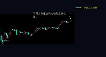 王中王300期指一生肖，揭秘背后的秘密與生肖運(yùn)勢分析，揭秘王中王300期生肖選擇與生肖運(yùn)勢深度解析