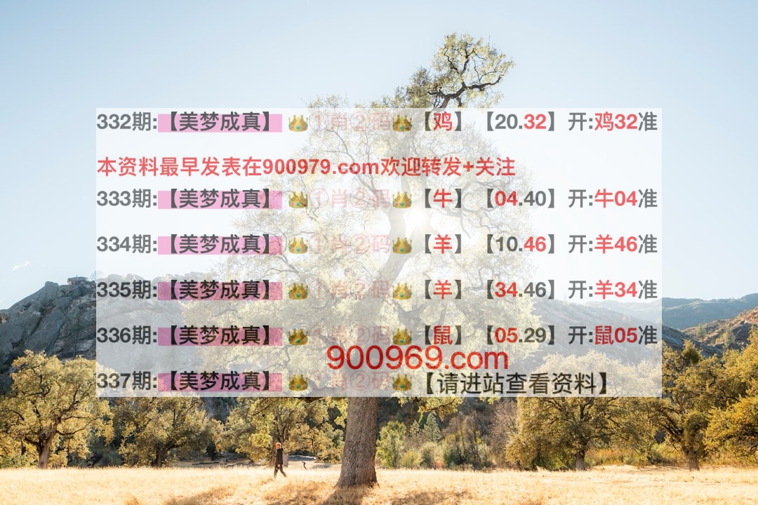 澳門寶典，探索最快開獎結(jié)果及其魅力，澳門寶典，探索最新開獎速度與魅力所在