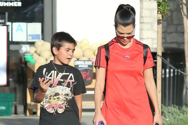 王中王兔費(fèi)一肖，揭秘背后的秘密與SEO策略，揭秘王中王兔費(fèi)預(yù)測背后的秘密與SEO策略