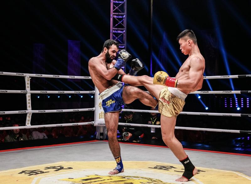 王中王網(wǎng)四肖主一碼，深度解析與SEO優(yōu)化策略，王中王網(wǎng)四肖主一碼，深度解析與SEO優(yōu)化策略全攻略