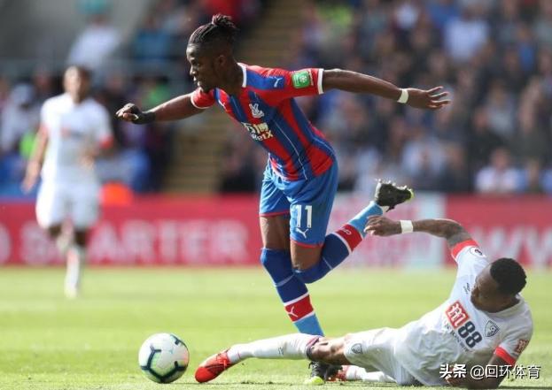 揭秘數(shù)字背后的神秘人物——探尋王中王一肖的傳奇故事，探尋數(shù)字之王背后的傳奇故事——揭秘王中王一肖的神秘面紗