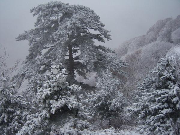 華山二日游最佳攻略方式，華山二日游最佳攻略攻略詳解