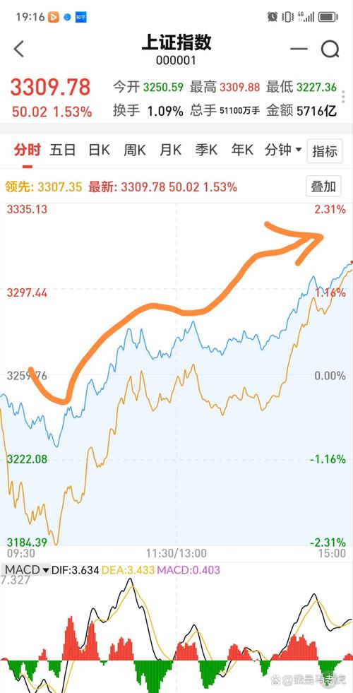 今日股市行情大盤深度解析，今日股市行情深度解析與大盤走勢探討