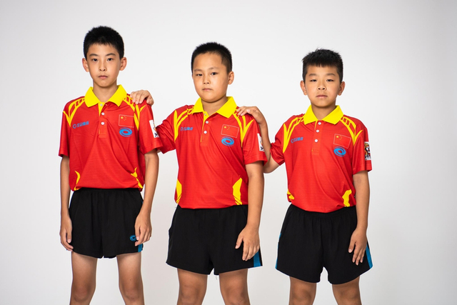 王中王白小姐四肖選一，揭秘背后的秘密與策略，揭秘王中王白小姐四肖選一背后的秘密與策略之道