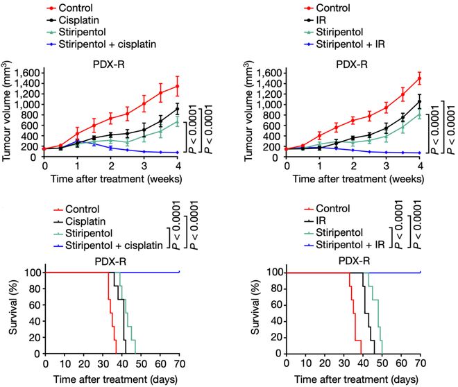 乳酸脫氫酶偏高的原因及其影響，乳酸脫氫酶偏高原因及其影響解析