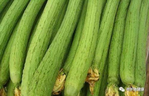 絲瓜，功效、作用與禁忌事項(xiàng)詳解，絲瓜，功效、作用及禁忌事項(xiàng)全解析