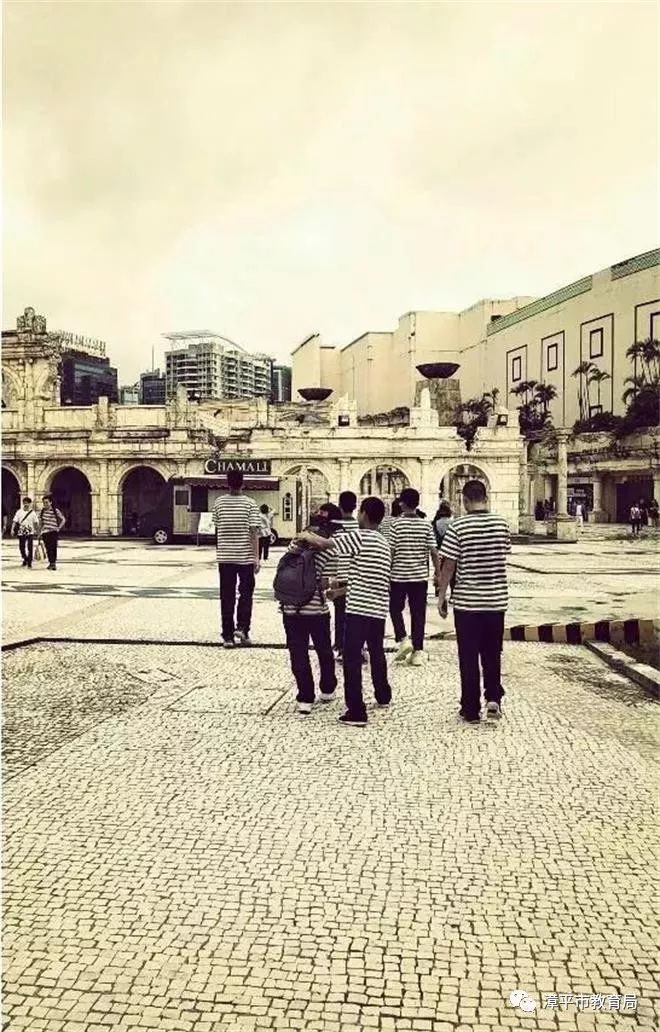 新澳門一碼一肖一特一中，揭秘第52期看圖預(yù)測的魅力，揭秘新澳門一碼一肖一特一中第52期看圖預(yù)測的魅力