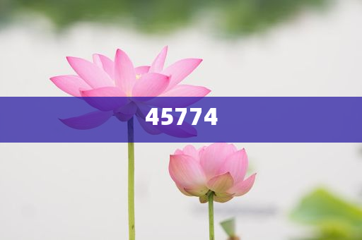 探索澳門(mén)正版免費(fèi)資源，未來(lái)的趨勢(shì)與預(yù)測(cè)（至2025年），澳門(mén)正版免費(fèi)資源趨勢(shì)探索與預(yù)測(cè)，未來(lái)展望至2025年