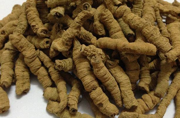 巴戟天的作用和功效，深入解析傳統(tǒng)中藥材的魅力，巴戟天的功效與作用，揭示傳統(tǒng)中藥材的奧秘與魅力