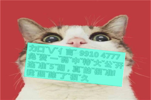 一肖啥意思，深度解析與SEO優(yōu)化文章，一肖含義深度解析與SEO優(yōu)化策略探討