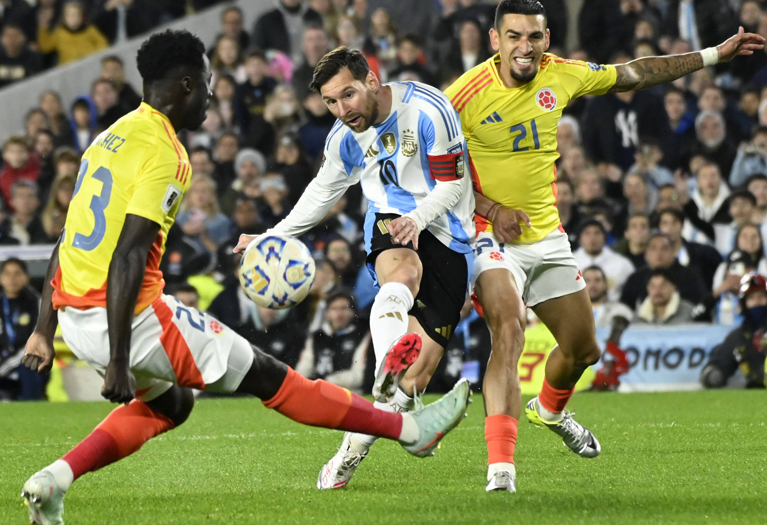 王中王一肖，揭秘碼一特一中的奧秘，揭秘王中王一肖特一中奧秘的真相