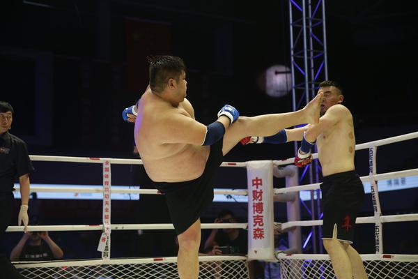 特特馬王中王一碼一肖，揭秘背后的秘密與探索SEO優(yōu)化策略，特特馬王中王一碼一肖，揭秘背后的秘密與SEO優(yōu)化策略探索