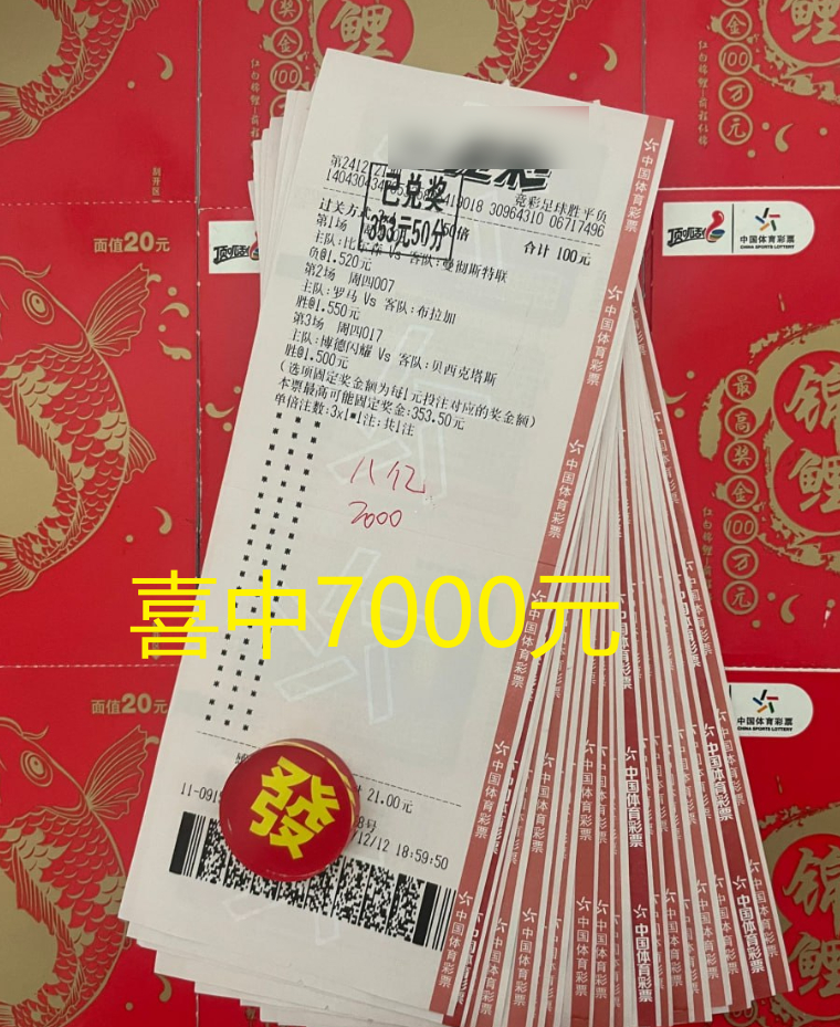 澳彩公證處一碼三中三，專業(yè)、公正、透明的彩票服務新標桿，澳彩公證處，專業(yè)公正透明服務，一碼三中三引領彩票新標桿