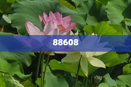 2025正版資料免費公開，獲取優(yōu)質(zhì)資源的全新時代，優(yōu)質(zhì)資源免費公開，開啟全新時代獲取優(yōu)質(zhì)資料之旅