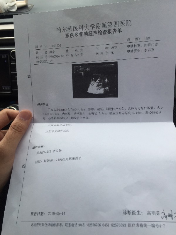 深入了解NT結(jié)果，解析與應(yīng)用，深入了解NT結(jié)果解析與應(yīng)用指南